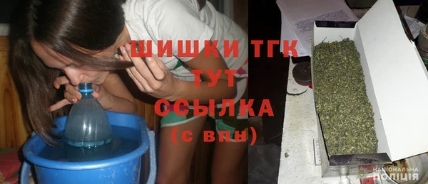 прущие грибы Белокуриха