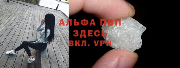 прущие грибы Белокуриха