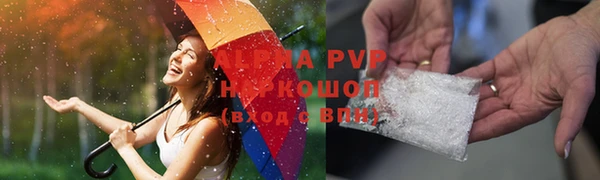 прущие грибы Белокуриха