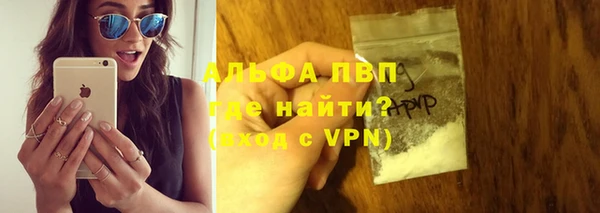 прущие грибы Белокуриха