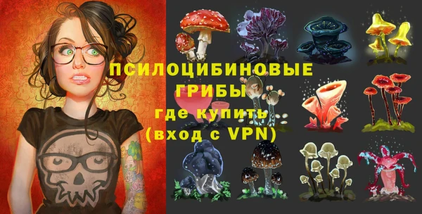 прущие грибы Белокуриха