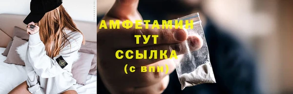прущие грибы Белокуриха