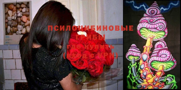 прущие грибы Белокуриха