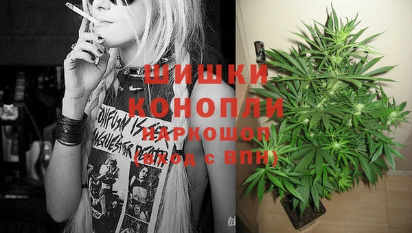 прущие грибы Белокуриха