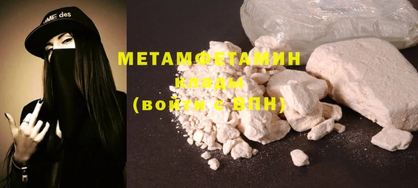 прущие грибы Белокуриха